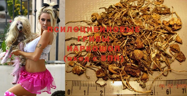 spice Медногорск