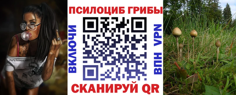 купить закладку  Туран  Псилоцибиновые грибы Magic Shrooms 